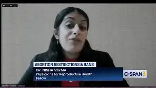 Pro-Abortion Testimony by Dr. Nisha Verma