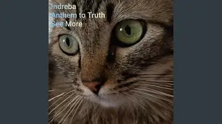 Anthem to Truth, See More
