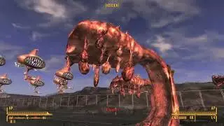 Fallout: New Vegas - NPC Wars: Floaters vs Classic Floating Eyebots and Spore Plants