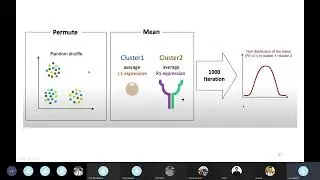 seq-RNA 17: Estimate Cell interaction || Part 1