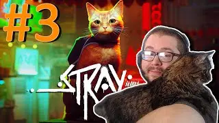 Stray Let's Play #3