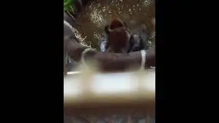 mais um aq no CRIAT&Oacute;RIO W.M.C