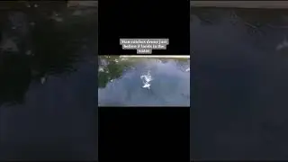 craziest things on drones #drone #scary #caughtoncamera