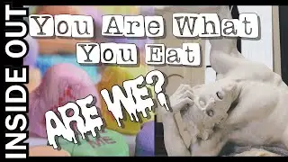 Addiction Recovery | Eat Your Way to Your Best Self