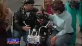 KUSI Story on Bandit the Biker Dog.... Rest in Peace my Friend