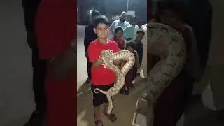 short Abdul Moeed vlog