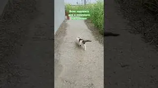 Всем хорошего дня и отличного настроения