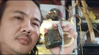 Sinyalis na totoo Ang Gamit Depensa Kargada