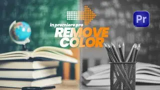 How to Remove Color & Create Black and White Video (Easy Method)