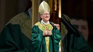 Wer ist Pietro Parolin?  #papst