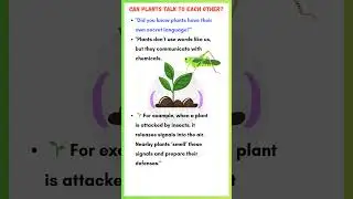 Can Plants Talk to Each Other? 🌿 | Amazing Plant Communication Explained