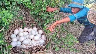 besr unique! Pick a lot of duck eggs near the mound at the best hand-picked field.