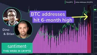 BTC network activity soars - can it continue? (This Week in Crypto - Nov 12th)