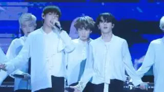 BUTTERFLY V FOCUS multi ver