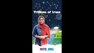 Are there more trees than stars? | A Teacher For A Student  | Team INTERVAL |  INDIVIDUAL TUITION