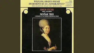 Flute Quartet No. 3 in C Major, K. Anh. 171/285b (arr. S. Fuchs) : II. Thema con variazioni
