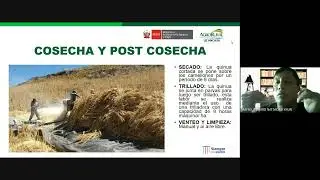 Experiencias en el cultivo y transformación de quinua y Kiwicha 19.08.2022