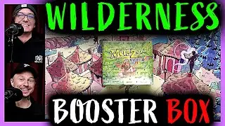 WILDERNESS Booster BOX Opening ✨🎁✨ Box Break | MetaBroz | METAZOO 🙏❤️🙏