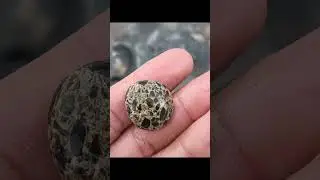 Super clean beach, perfect for pearl oystergrowth. Gems, diamonds, pearls,