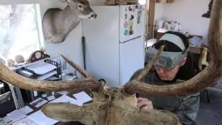 The Texas Observer Visits Billington Taxidermy