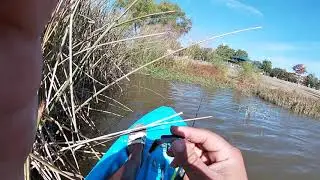 Finding hands full of lures part 2.