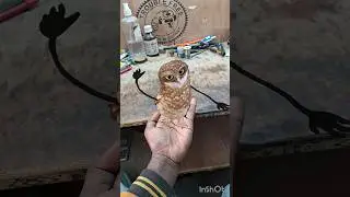 apt ptr owl dancing in hand of man 👻👻👻 #funny #comedy #shorts