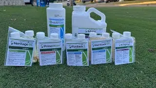 Why I&rsquo;m Using Advion Insect Granular Bait on My Lawn (Not a Spray!)