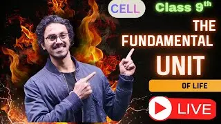 Science with BOBY SIR Live Stream