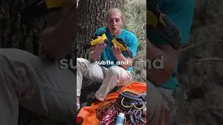 Ваш выбор? 👉 La Sportiva Solution против La Sportiva Solution Comp #скалолазание