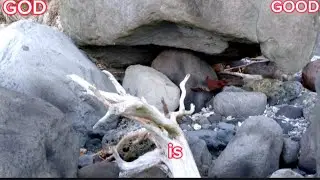 HANGING ROCK STONE OBJECT ARE INSIDE GOLDYAMASHITA GOLD BAR PHILIPPINES TREASURE HUNTER SIGN MARKER