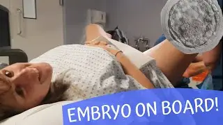Live IVF Embryo Transfer! | Lesbian TTC - UK
