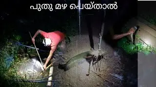 ഉൾ നാടൻ മീൻ പിടുത്തം| കാരി,കല്ലട, വരാൽ, പുല്ലൻ| kerala traditional fishing|night fishing. fishing