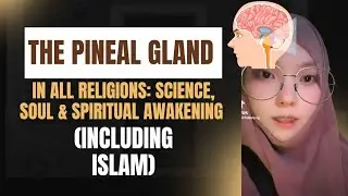 The Pineal Gland in All Religions: Science, Soul & Spiritual Awakening (Including Islam)