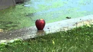 shooting cans with a powerfull slingshot in slowmotion