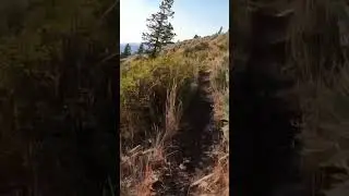 Idaho Ridgeline Trail #dirtbike #singletrack