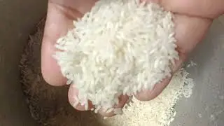 ASMR MAKAN BARAS BASAMATI RICE EATING SAUOND makan baras basamati rice 🍚🌾@vidya..#shorts..