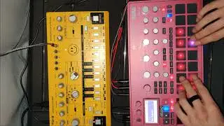 Tabtek - Timewarp (Korg Electribe 2 Sampler & TD-3 Acid Tribecore Live)