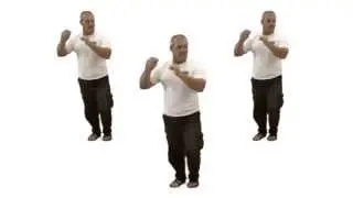 ריקוד הסבר - מחזור כ