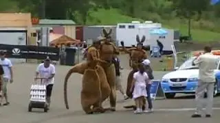 A1 Grand Prix Sydney 2008 - Behind The Scenes