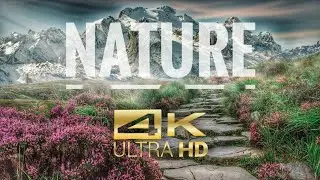 Beautiful Nature in 4K- Ultra HD 60FPS #worldin4k
