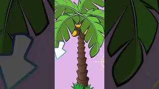தென்னை மரங்களால் ஏற்படுமா இறப்புகள் | #shorts | #kaattinkathai | falling of coconut cause death