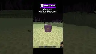 Hidden Features in Minecraft!🤫#minecraft #gaming #secret #fypシ゚viral #fyp #viral #fypage #easteregg