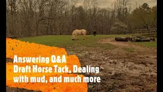 Q&A - Draft Horse Tack, Dealing with Mud and Much more!