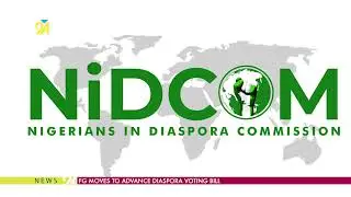 FG Moves To Advance Diaspora Voting Bill
