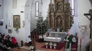 4. nedeľa v cezročnom období, Zborov 1.2.2026