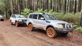 2019-03-31 Toolangi State Forest (Pajero 4WD Club Vic)
