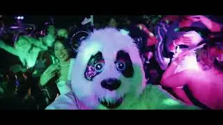 Showers 2022 Malta - AFTERMOVIE | Welcome to the Jungle