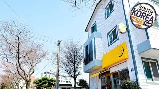 Ganderak Guest House | Jeju, South Korea | Hotel Review ⭐
