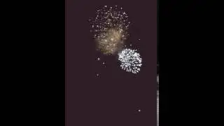 Fiestas cd insurgentes 2016