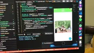 TouchView Presentation Demo | Visual Accessibility Tool